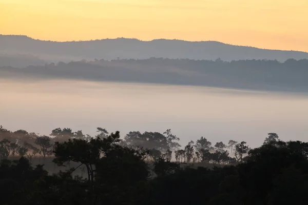 Orman Mulk Salang Luang Milli Parkı: Phetchabun, Thailand, siste — Stok fotoğraf