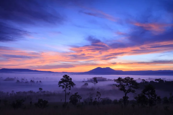 Mistige ochtend zonsopgang in Thung Salang Luang Nationaal Park — Stockfoto