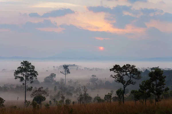 Nebliger Sonnenaufgang am Thung Salang Luang Nationalpark — Stockfoto