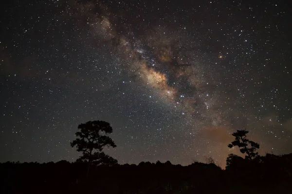 Galaxia de la Vía Láctea y silueta de árbol con nube.Larga exposición — Foto de Stock