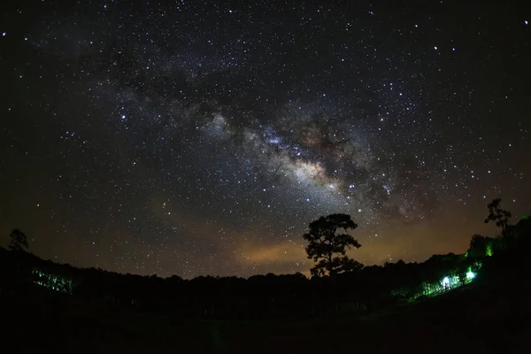 Milky Way és a Phu Hin Rong Kla nemzeti Pa fa sziluettje — Stock Fotó