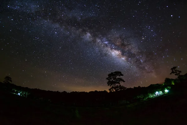 Milky Way és a Phu Hin Rong Kla nemzeti Pa fa sziluettje — Stock Fotó