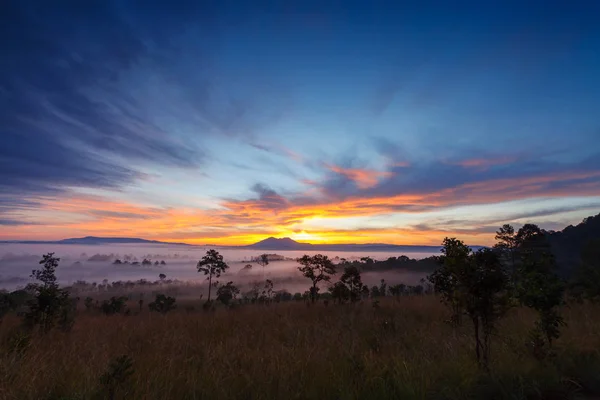 Nebliger morgendlicher Sonnenaufgang im Thung Salang Luang Nationalpark Phetchbun — Stockfoto