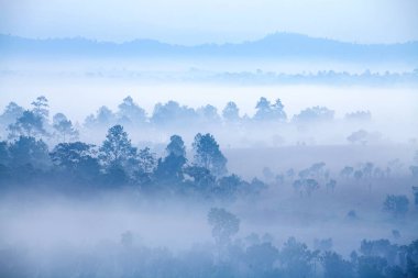 Orman Mulk Salang Luang Milli Parkı: Phetchabun, siste