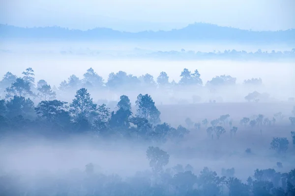 Köd-erdő: Thung Salang Luang Nemzeti Park Phetchabun — Stock Fotó