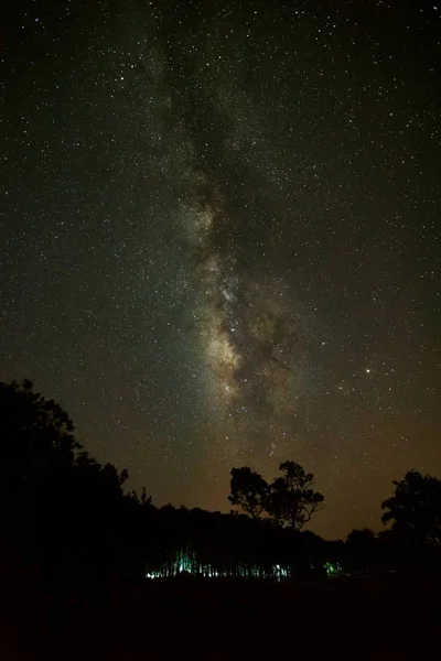 Silhouette of Tree and Milky Way at Phu Hin Rong Kla National Pa — Stock Photo, Image
