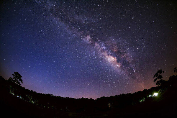Панорама молочный путь и силуэт дерева с облаком. Длинные выставки
