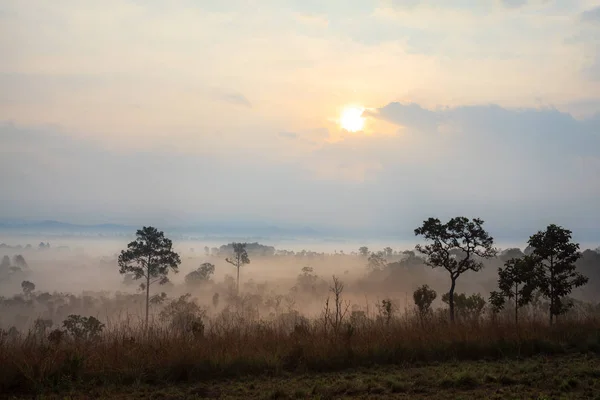 Nebliger Morgensonnenaufgang im Thung Salang Luang Nationalpark Phetchabun — Stockfoto