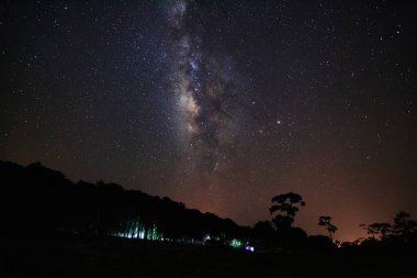 Samanyolu ve ağaç Phu Hin Rong Kla Milli Parkı, silüeti