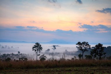 Orman Mulk Salang Luang Milli Parkı: Phetchabun, Thailand, siste