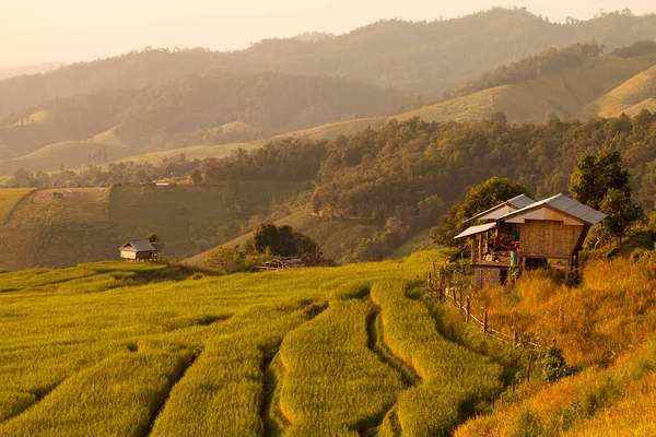 Hut in green terraced rice field during sunset at Chiangmai, Thailand — Stock Photo, Image