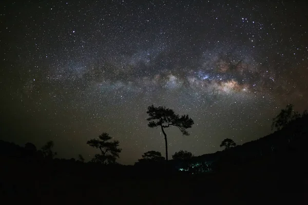 Silhouette of tree and Milky Way at Phu Hin Rong Kla National Park — Stock Photo, Image