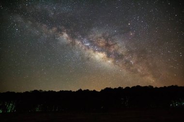 Samanyolu ve ağaç yapısı ile bulut. Uzun pozlama fotoğraf
