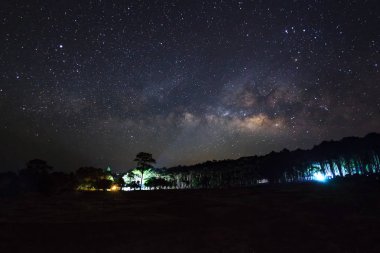 Güzel Samanyolu galaksisinin bir gece gökyüzü ve ağaç silüeti
