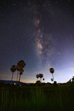Ağaç silüeti bulut ve Samanyolu, uzun pozlama fotoğraf