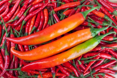 Kırmızı biber veya biber acı biber