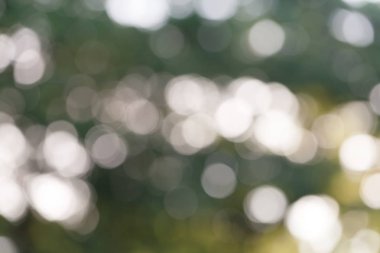 Doğal yeşil bokeh arkaplanı