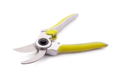 yeşil bahçe secateurs beyaz bir arka plan üzerinde izole