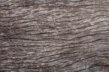 Eski ahşap doku arka plan doğa üzerinde