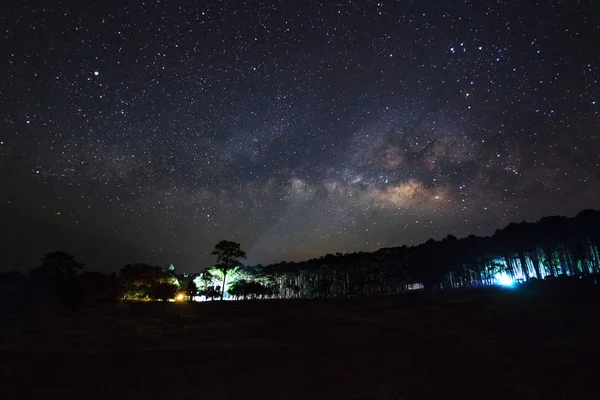 Belle galaxie de la voie lactée sur un ciel nocturne et silhouette d'arbre — Photo