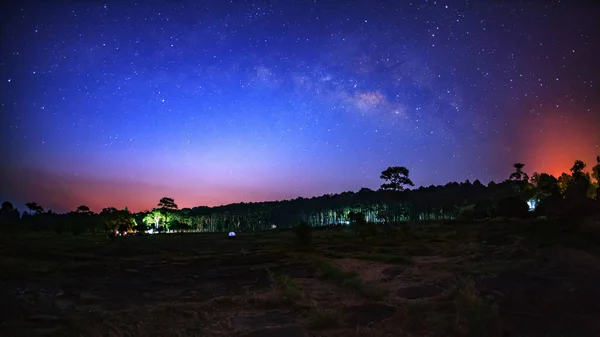Красивая галактика Млечный Путь на ночном небе и силуэт дерева — стоковое фото