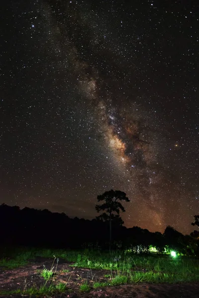 Galaxia de la Vía Láctea y silueta de árbol con nube.Larga exposición — Foto de Stock