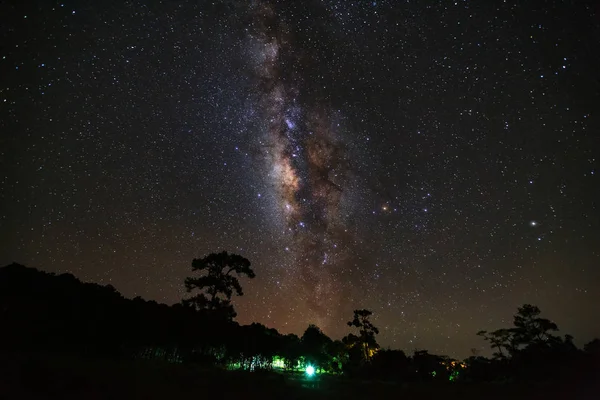 Silhouette d'arbre et belle voie lactée sur un ciel nocturne — Photo