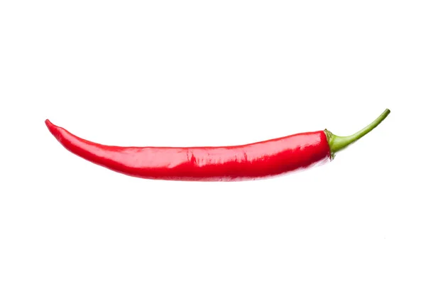 Piros chili vagy chili cayenne bors izolált fehér alapon — Stock Fotó