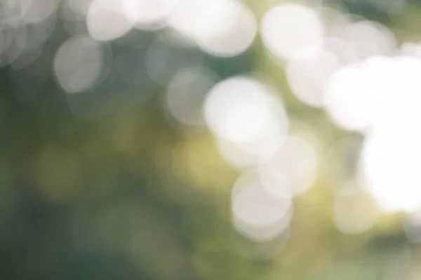 Natuurlijke groene bokeh achtergrond — Stockfoto