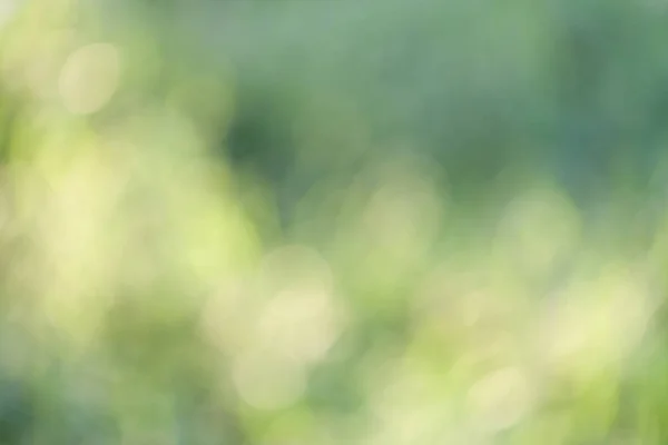 Doğal yeşil bokeh arkaplanı — Stok fotoğraf