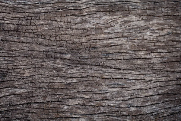 Vecchio legno texture sfondo sulla natura — Foto Stock
