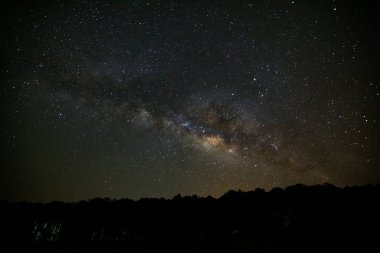 Samanyolu ve ağaç Phu Hin Rong Kla Milli Parkı, silüeti