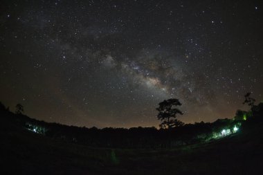 Samanyolu ve ağaç Phu Hin Rong Kla Milli Parkı, silüeti