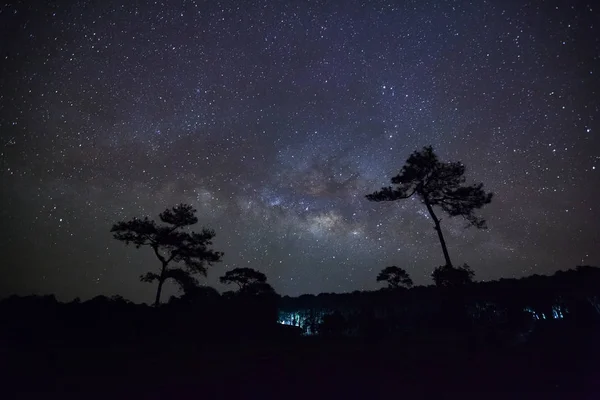 天の川とプー ヒン栄ローン クラー国立公園での木のシルエット — ストック写真
