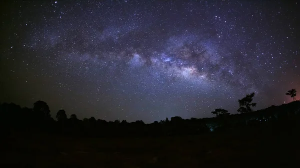 パノラマ夜空とツリーのシルエットベクターは、ベク美しい天の川銀河, — ストック写真