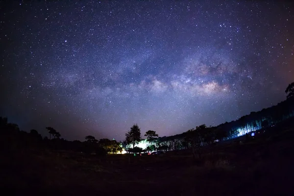 Voie lactée et silhouette de l'arbre au parc national Phu Hin Rong Kla — Photo