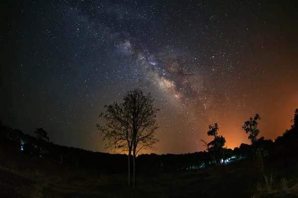 Tejút és silhouette fa Phu Hin Rong Kla Nemzeti Park — Stock Fotó