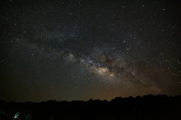 Via Láctea e Silhueta de Árvore no Parque Nacional Phu Hin Rong Kla — Fotografia de Stock