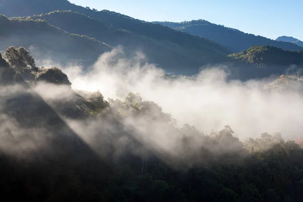 Neblige Morgenteeplantage im doi ang khang, chiang mai, t — Stockfoto