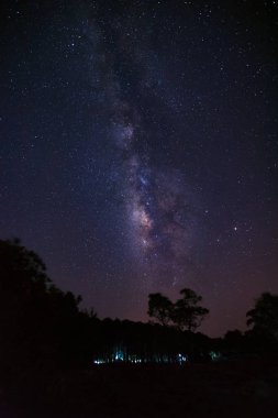 Samanyolu ve ağaç Phu Hin Rong Kla Milli Parkı, silüeti