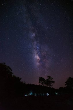 Milky way galaxy and silhouette of tree at Phu Hin Rong Kla National Park clipart