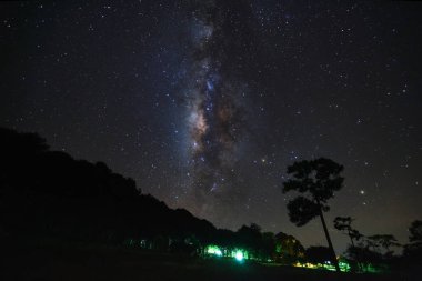Samanyolu ve ağaç Phu Hin Rong Kla Milli Parkı, silüeti
