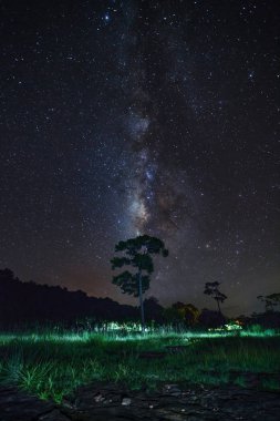 Samanyolu ve ağaç Phu Hin Rong Kla Milli Parkı, silüeti