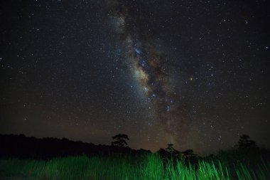 Samanyolu ve ağaç Phu Hin Rong Kla Milli Parkı, silüeti