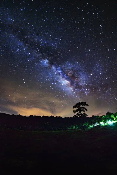 Vintergatan och silhuetten av träd på Phu Hin Rong Kla nationalpark — Stockfoto