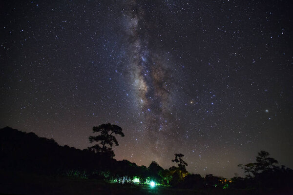 Млечный Путь и силуэт Три в национальном парке Фу Хин Ронг Кла
