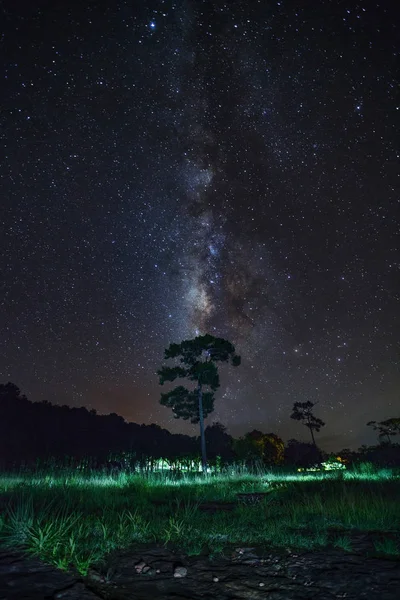 Vía Láctea y Silueta del Árbol en el Parque Nacional Phu Hin Rong Kla — Foto de Stock
