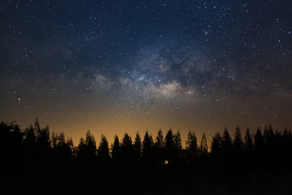 Gyönyörű milkyway és a sziluett, a fenyő, egy éjszakai égen — Stock Fotó
