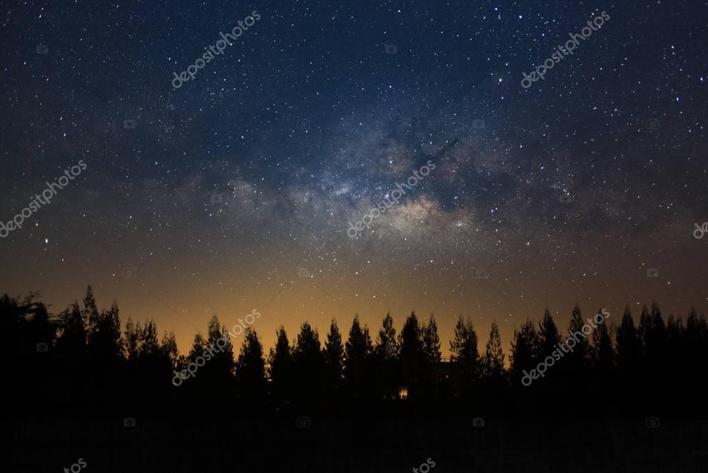 sripfoto