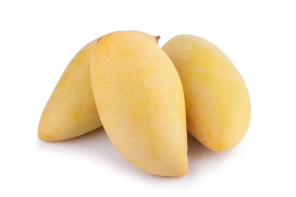 Three yellow mango fruit on white background — Stock Photo, Image